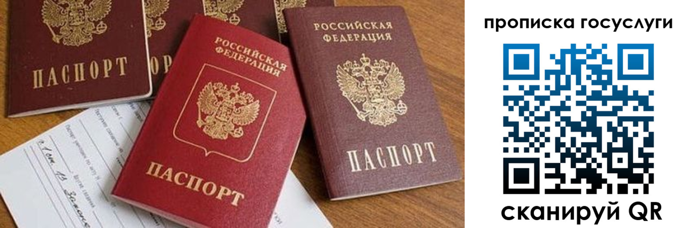 прописка ребенка в Михайловке